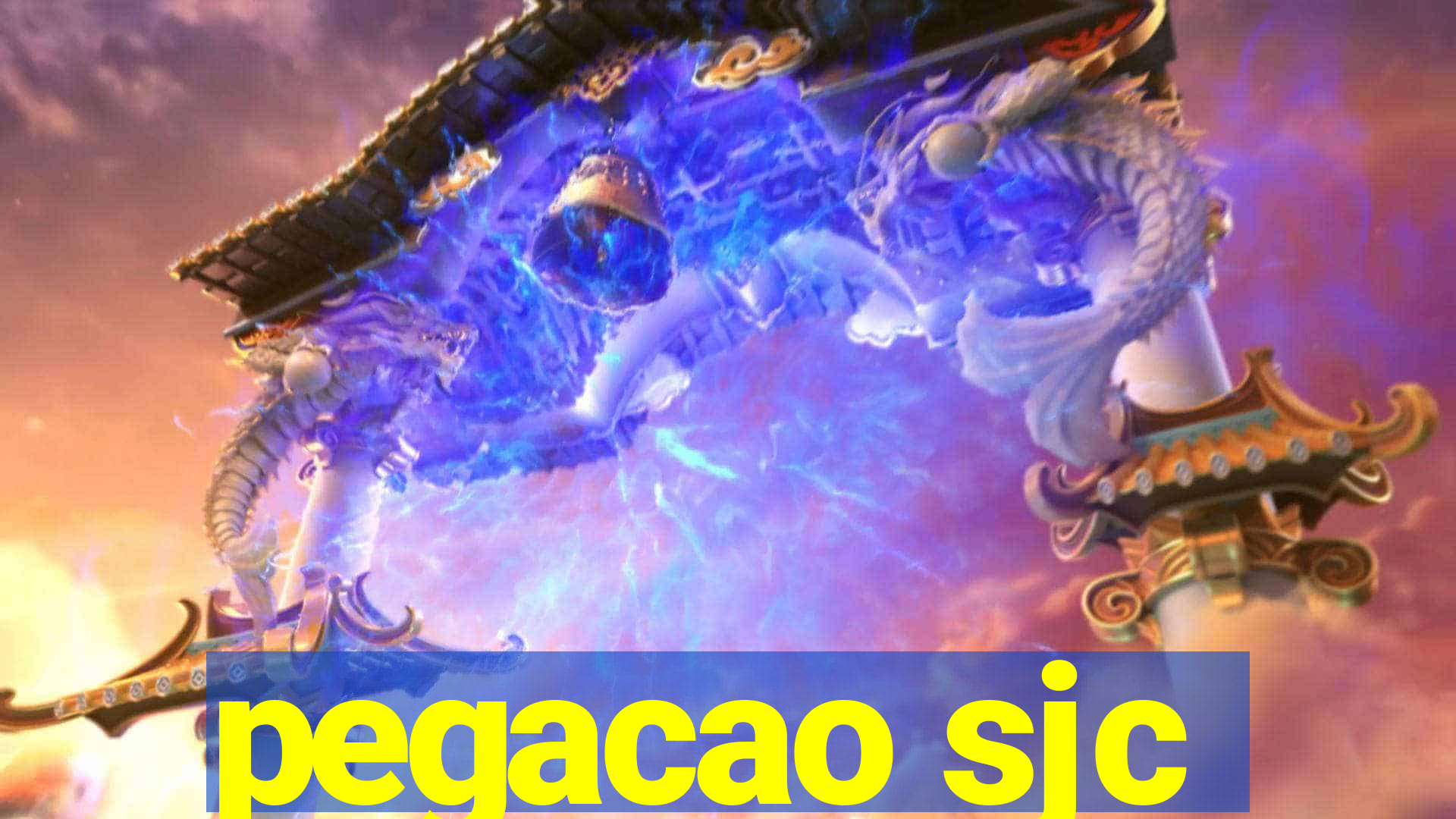 pegacao sjc